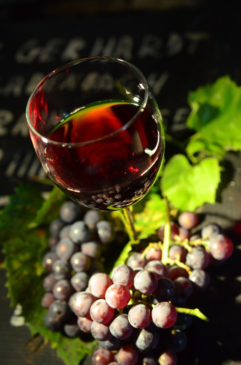 Repas du Beaujolais Nouveau | *** Office de tourisme de Puget sur