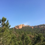 Forêt Puget sur Argens nature