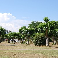 Camping Hautes Vernèdes