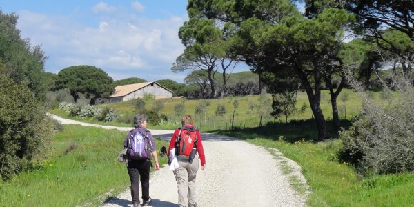 Chemin de Compostelle Puget sur Argens