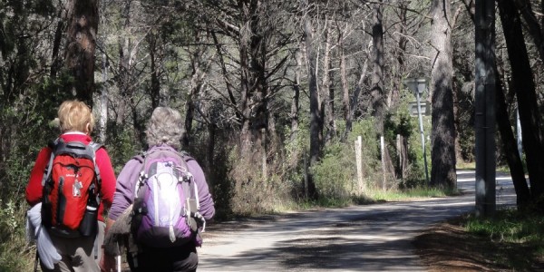 Chemin de Compostelle Puget sur Argens